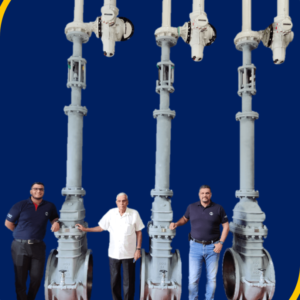 Economics Of Using A Bellow Seal Valve
